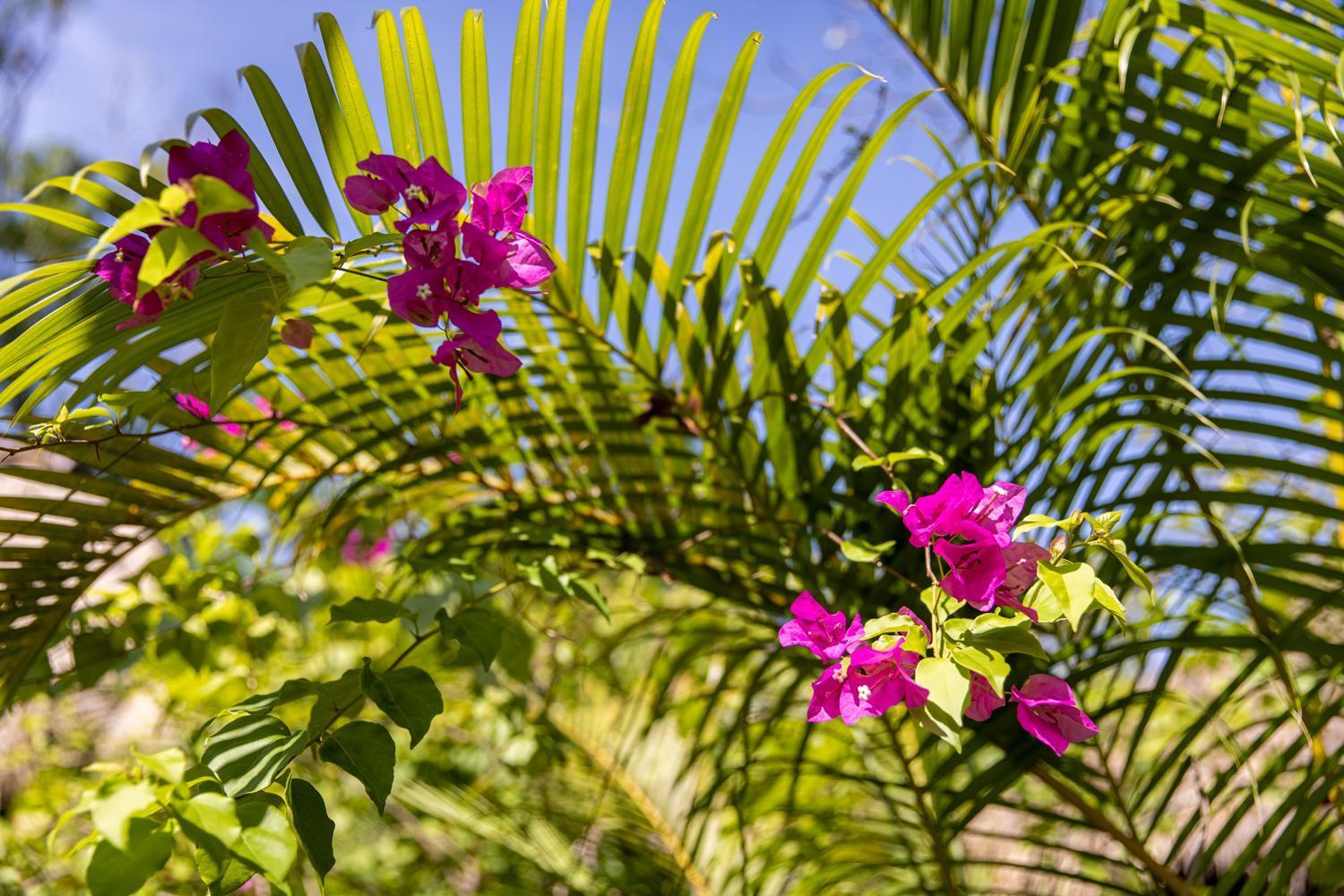 Kampot Cabana المظهر الخارجي الصورة