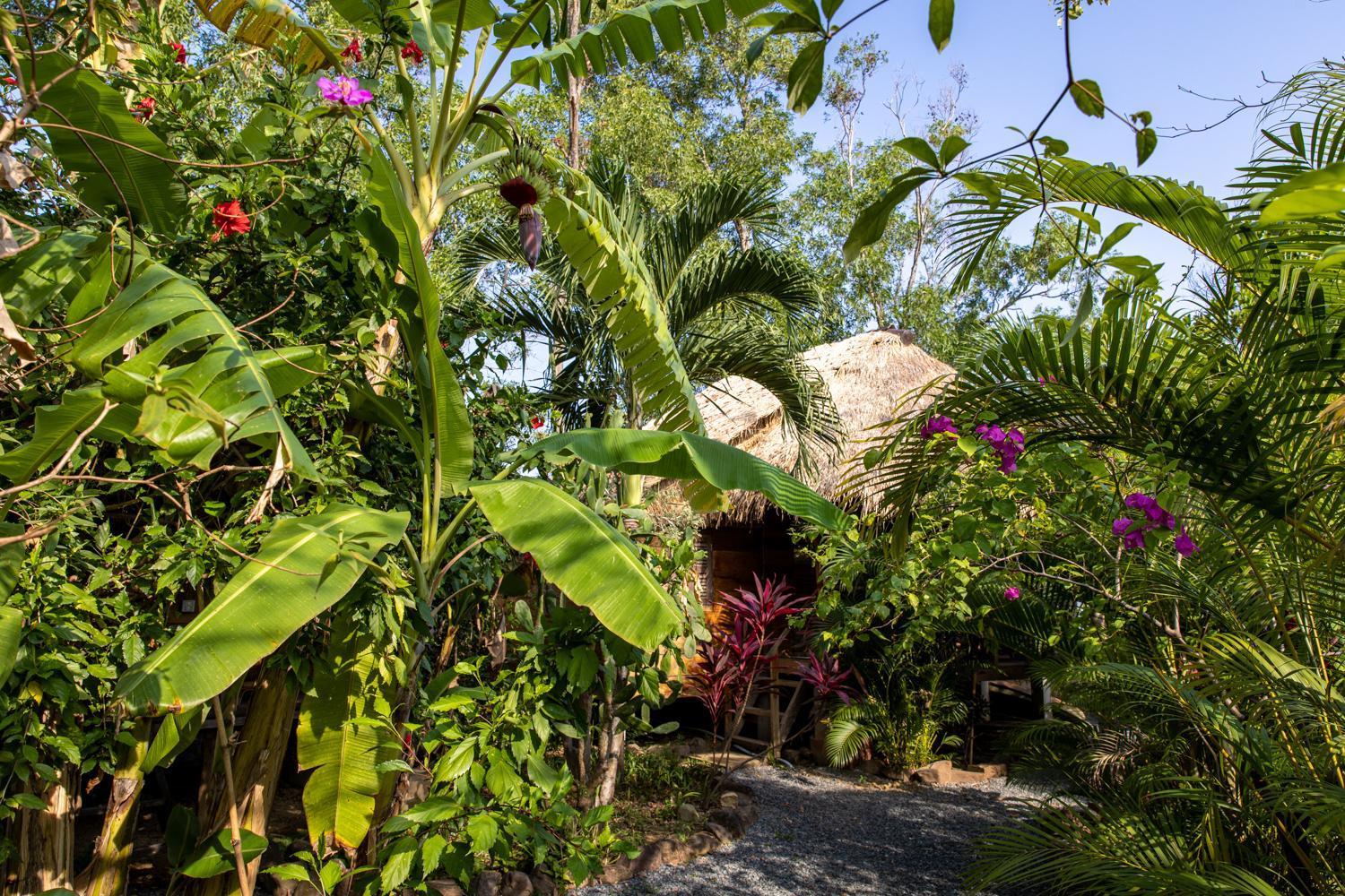 Kampot Cabana المظهر الخارجي الصورة